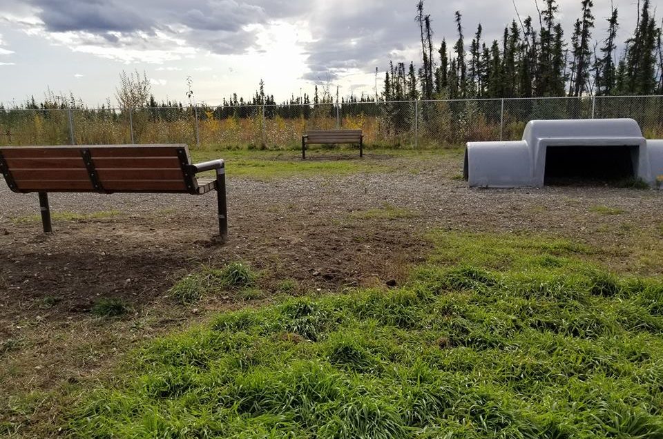 Fairbanks Dog Park