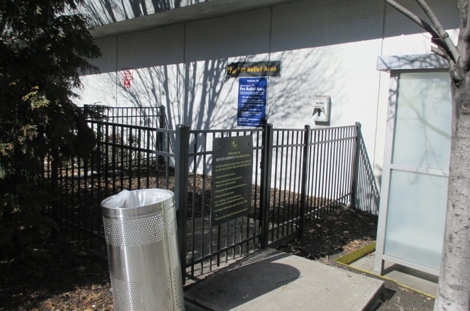 JFK Airport Terminal 7 Pet Relief Areas Pet Friendly Travel