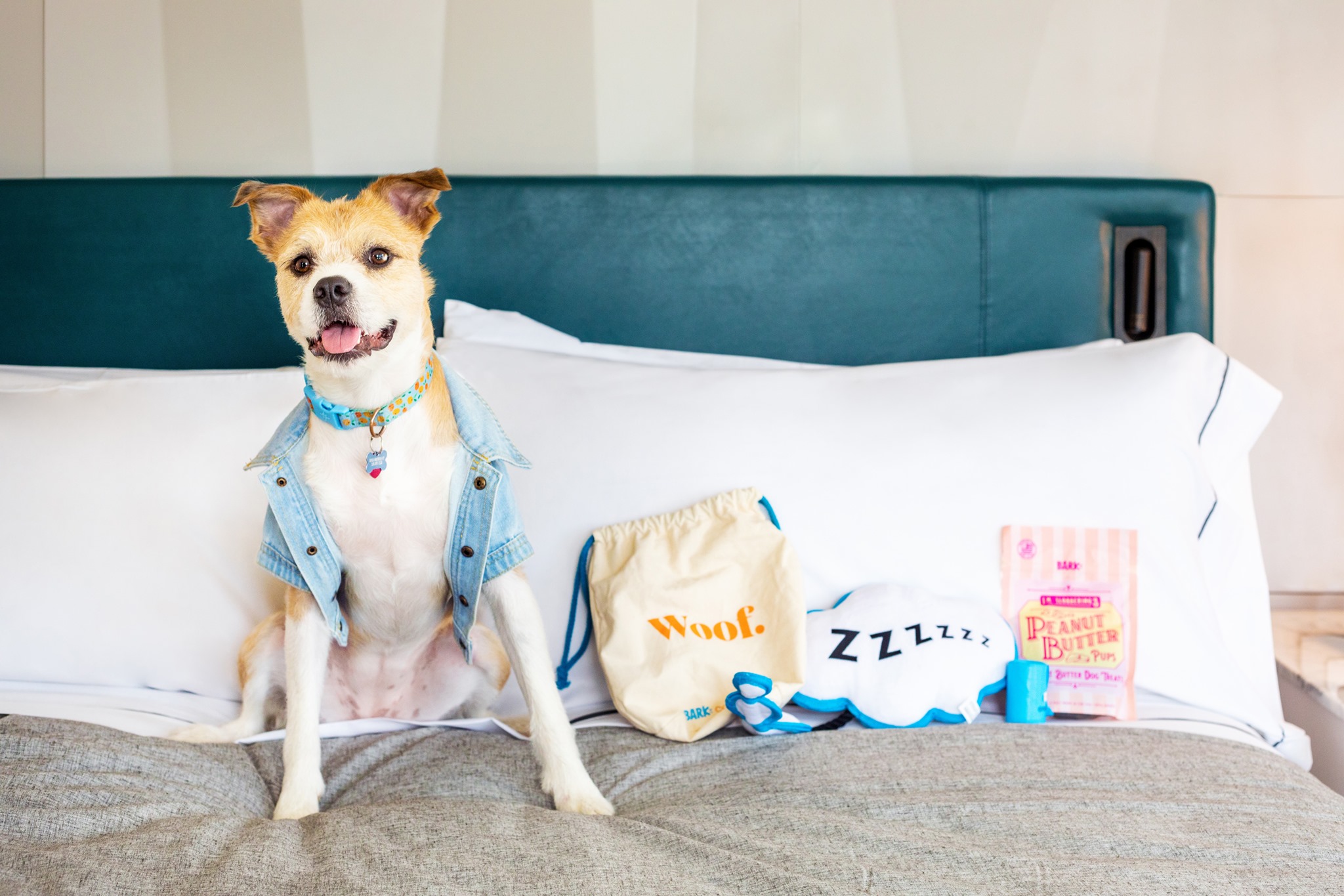 hotel chains that allow dogs uk
