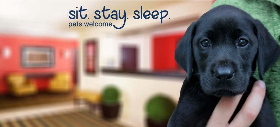 Extended Stay America Pet Policy