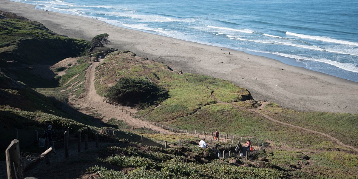 Fort Funston Beach San Francisco, CA Pet Friendly Travel