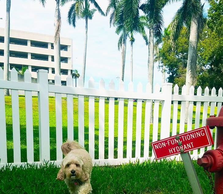 Palm Beach International Airport (PBI) Pet Relief Areas Pet Friendly