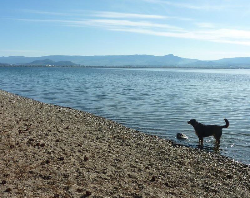 Kalamoir Regional Park Beach – Kelowna, BC