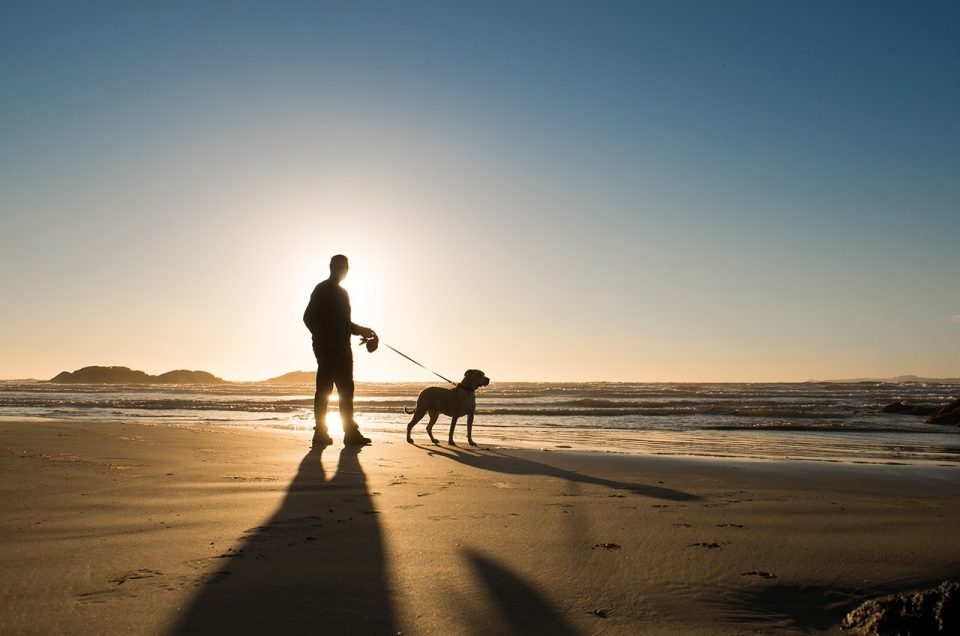 Pacific Rim National Park Reserve, Long Beach Area