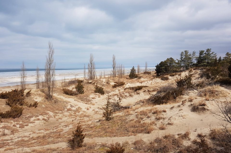 Pinery Provincial Park Beach – Grand Bend, ON