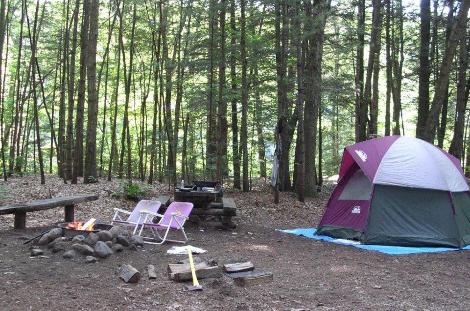 Barkshamstead: American Legion State Forest Campground