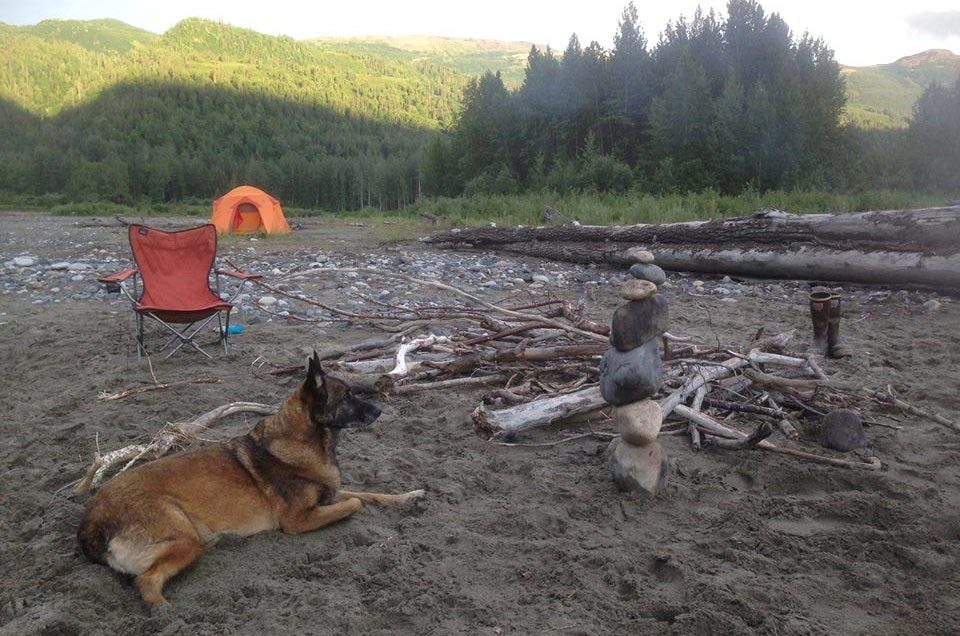 Alaska State Park Campgrounds | Pet Friendly Travel