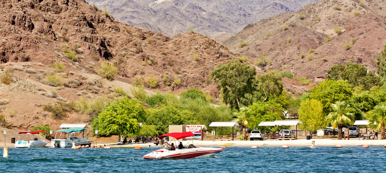 Lake Havasu City Cattail Cove State Park Campground — Pet Friendly Travel