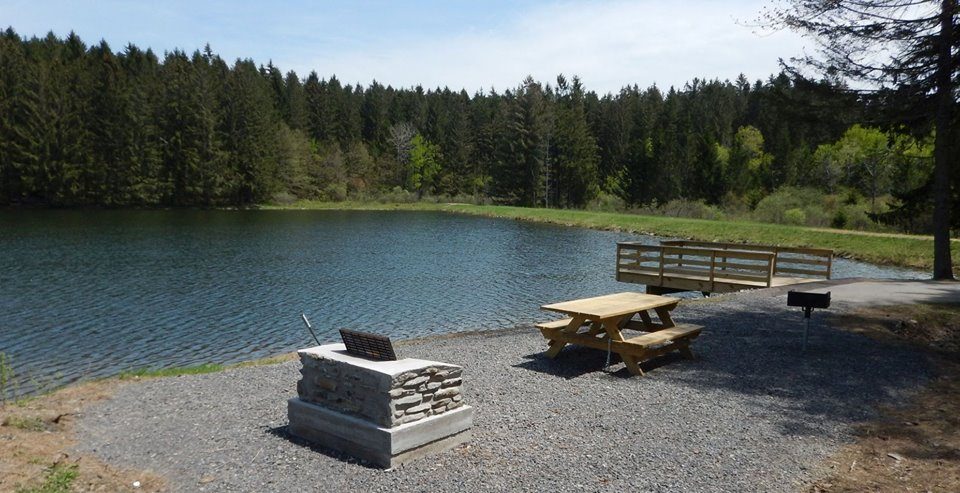 Adirondack and Catskill Forest Preserves: DEC Campgrounds