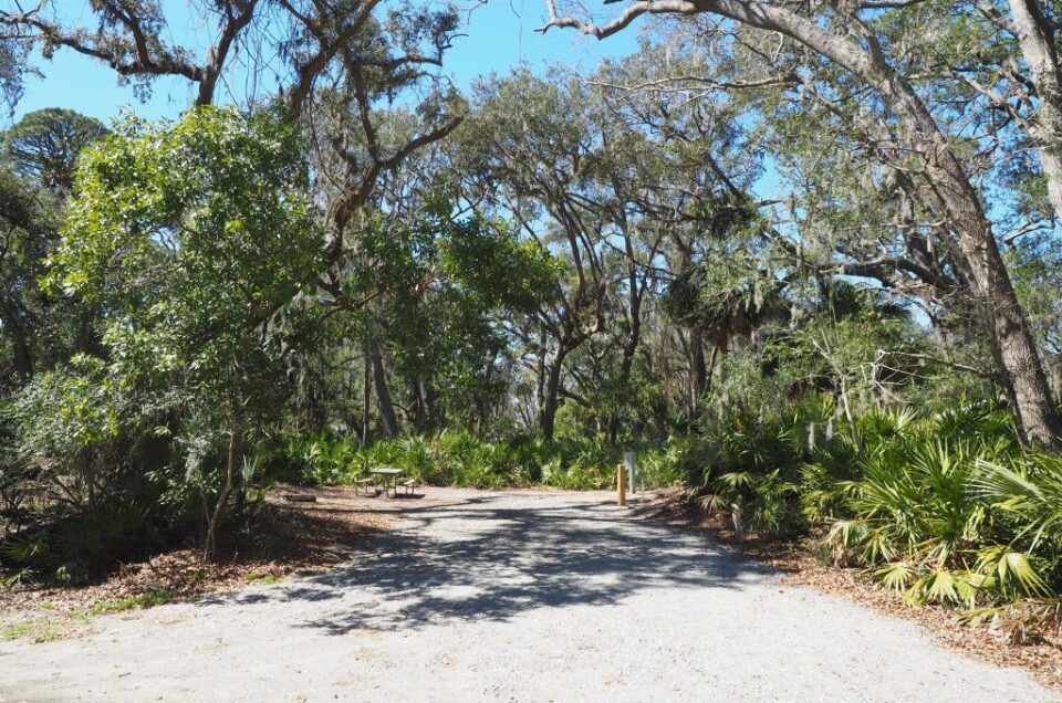 Hunting Island: Hunting Island State Park Campground