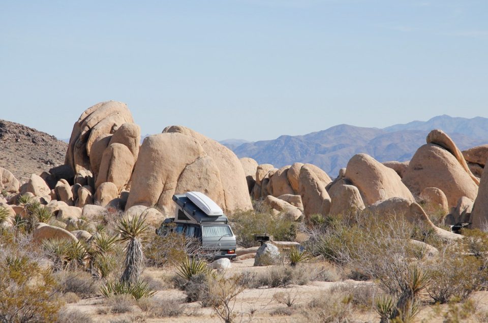 Joshua Tree National Park Campgrounds