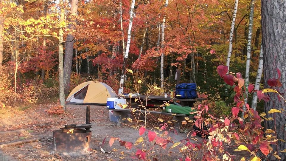 Minnesota State Forests Campgrounds Pet Friendly Travel