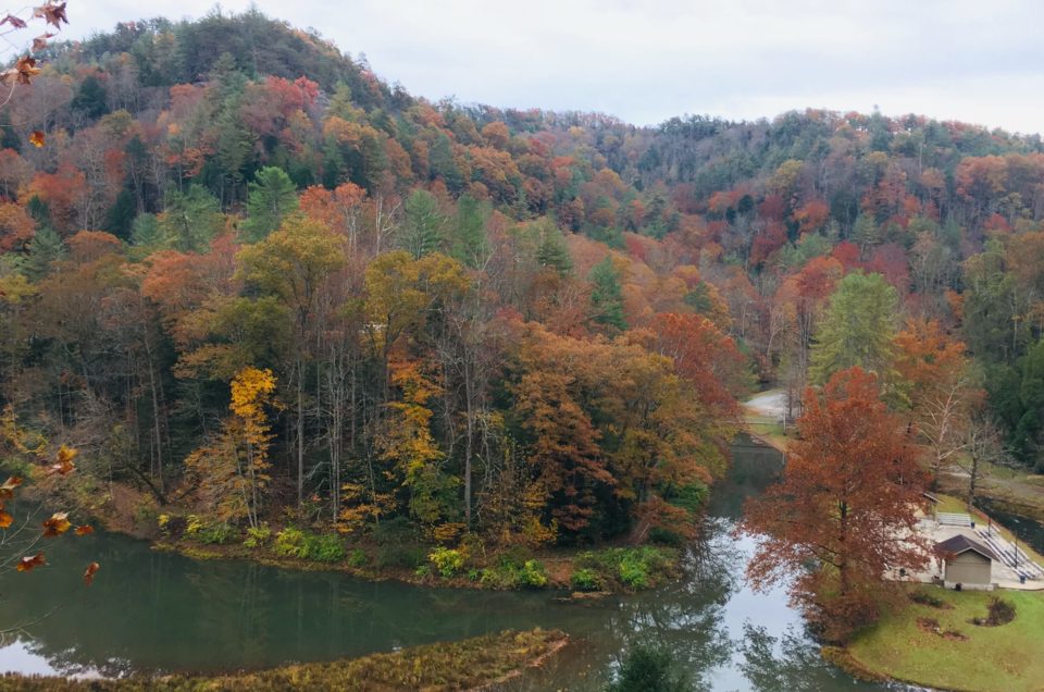 Slade Natural Bridge State Resort Park Campgrounds Pet Friendly Travel