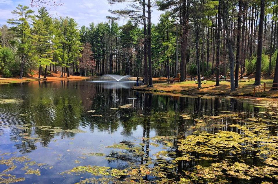 Foxboro: Normandy Farms Family Camping Resort
