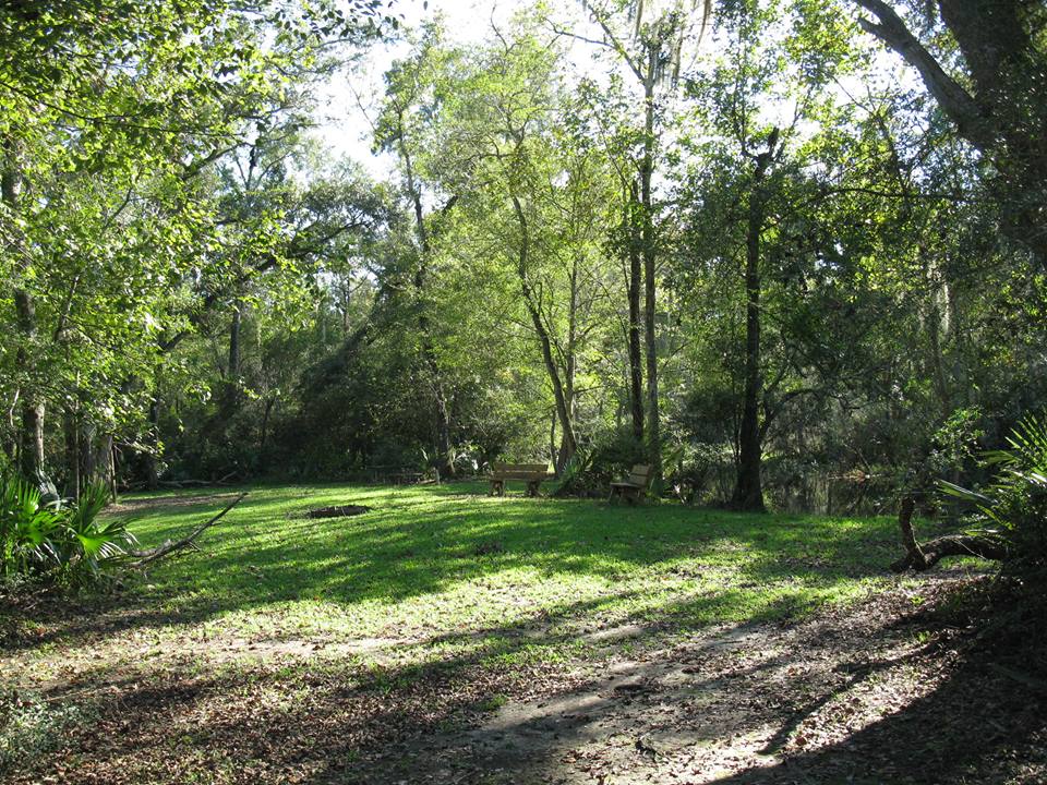 Abbeville Palmetto Island State Park Campgrounds Pet Friendly Travel