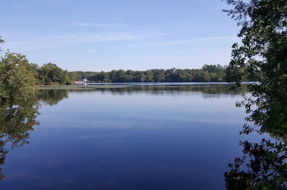 Pittsgrove Township: Parvin State Park Campground