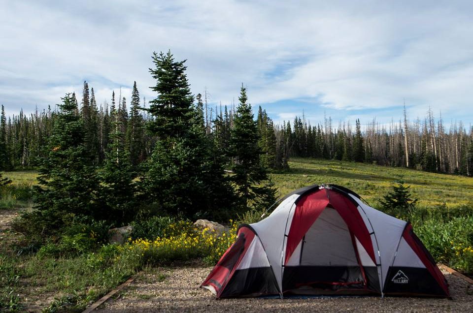Cedar City: Point Supreme Campground, Cedar Breaks National Monument