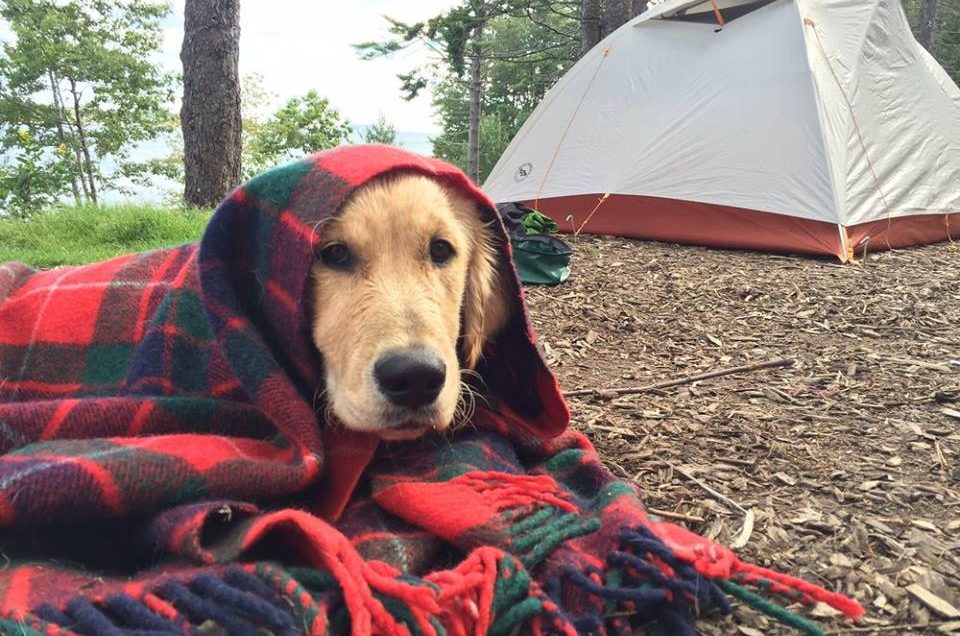 Georgetown: Sagadahoc Bay Campground