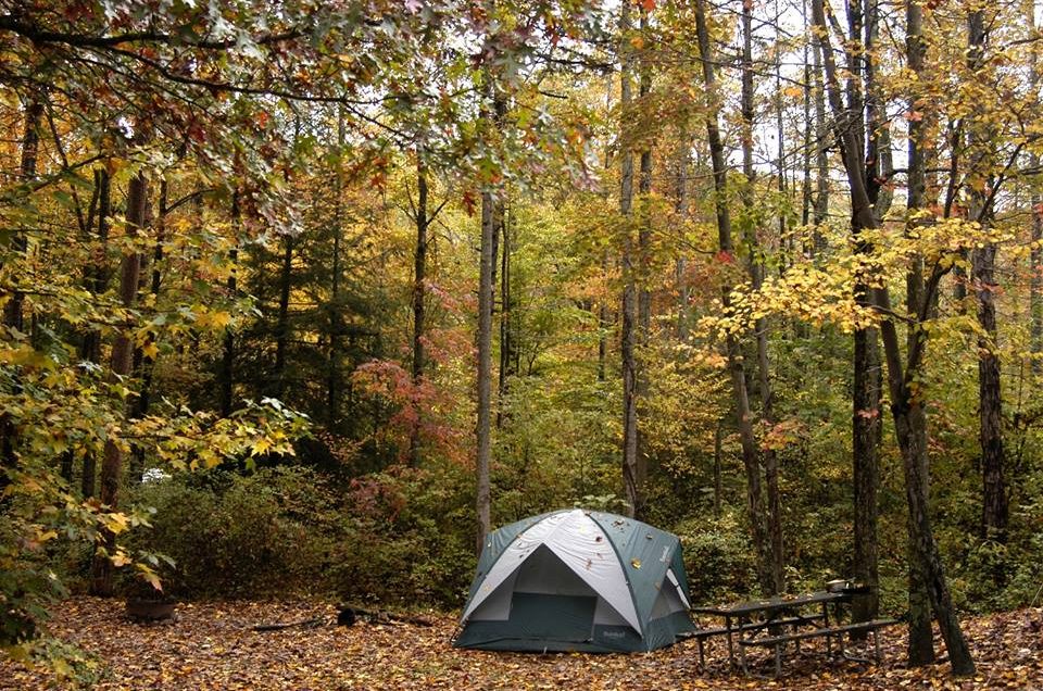 Portsmouth: Shawnee State Park Campground