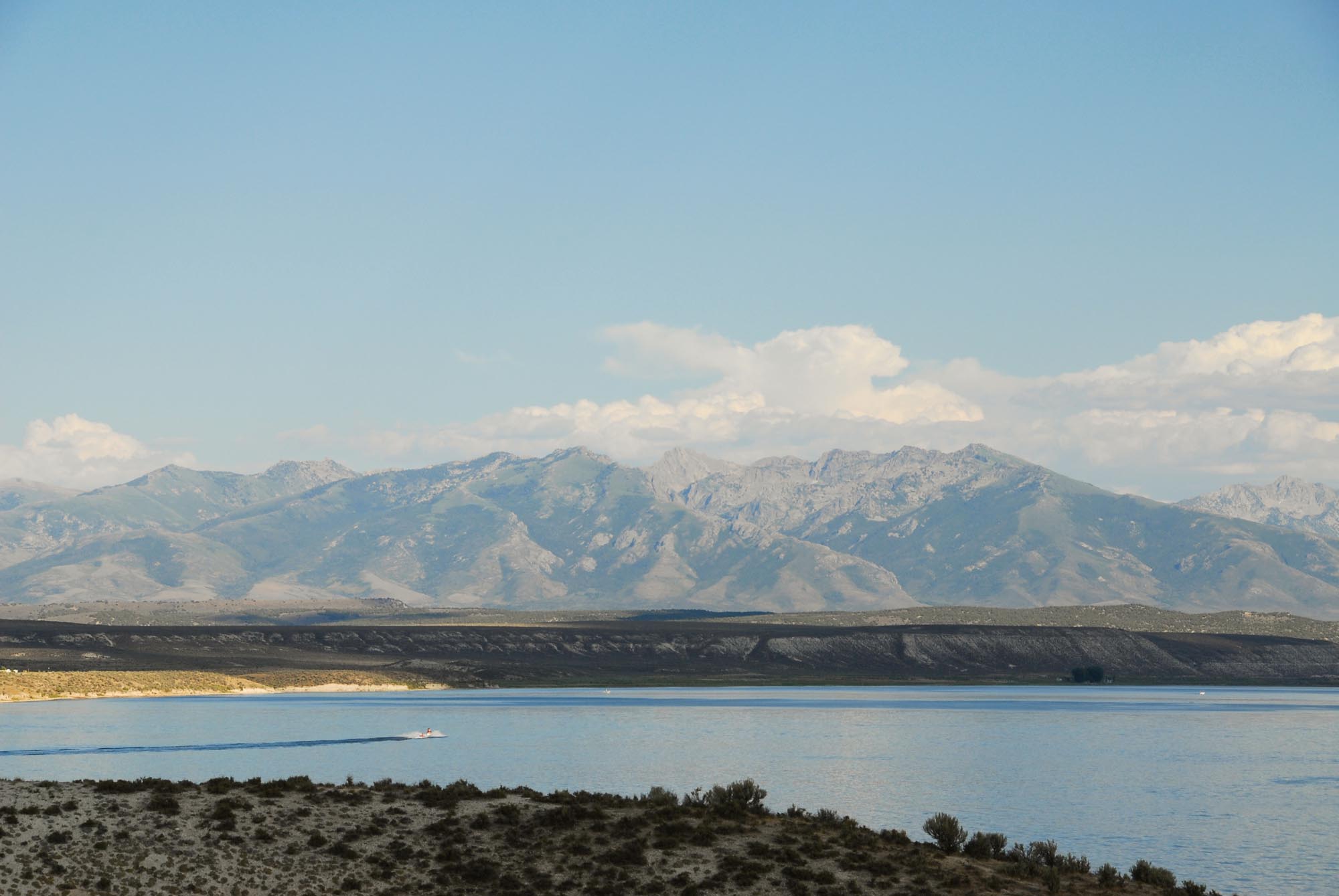 Elko area South Fork State Recreation Area Campground Pet Friendly