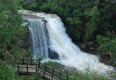 Oakland: Swallow Falls State Park Campground