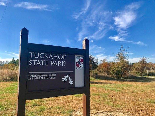 Queen Anne: Tuckahoe State Park Campground