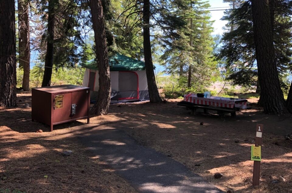 Lake Tahoe Campgrounds Pet Friendly Travel