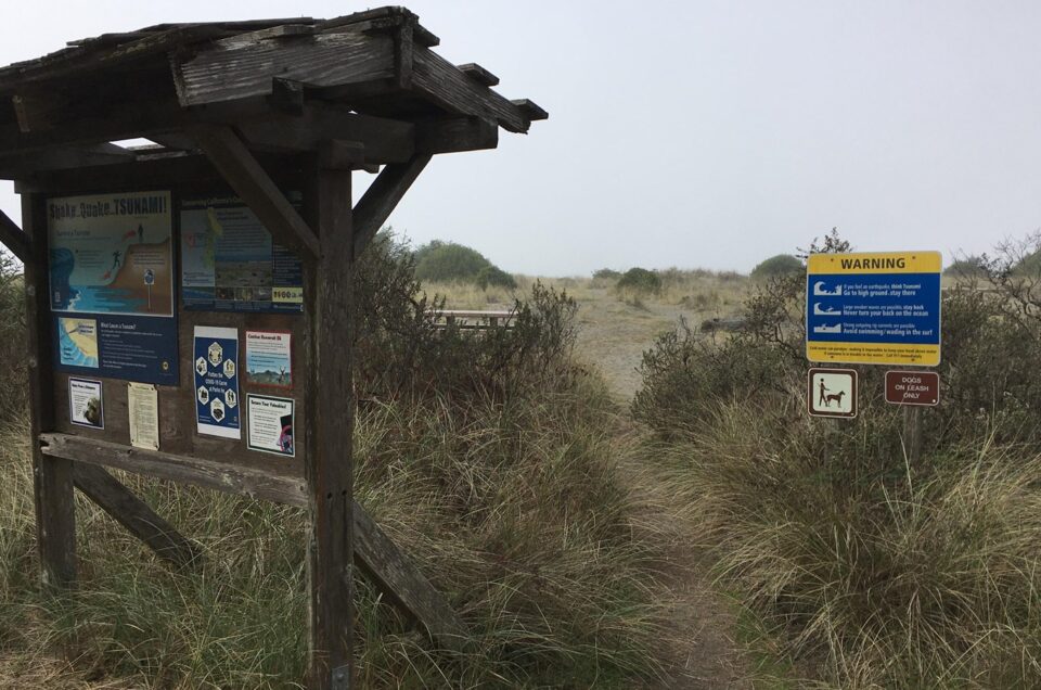 Gold Bluffs Beach – Orick, CA