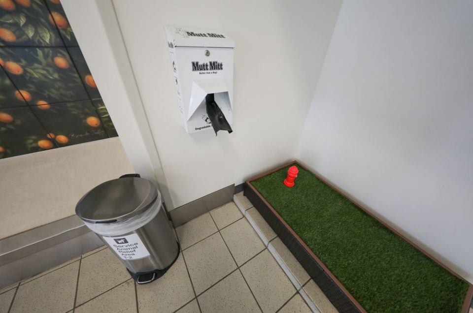 Ontario International Airport (ONT) Pet Relief Areas