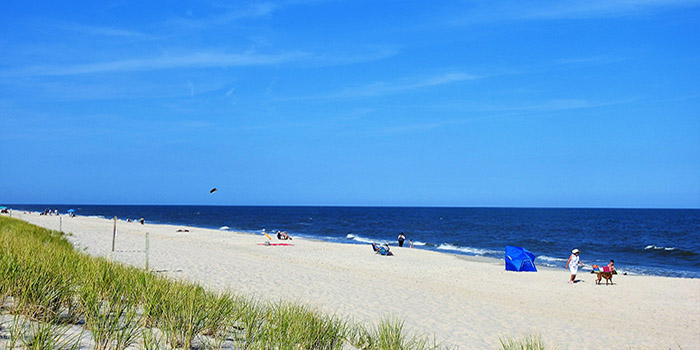 Assateague State Park Beach – Berlin, MD