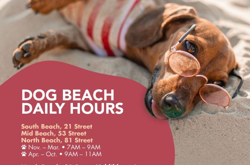 Bark Beach North Beach – Miami Beach, FL