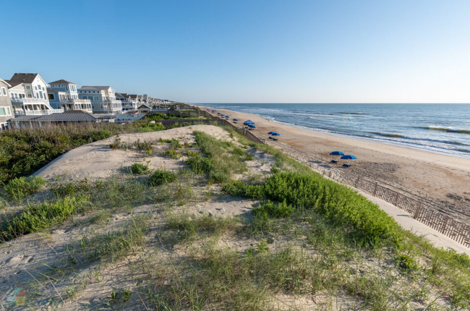 Corolla Beaches - Outer Banks, NC | Pet Friendly Travel