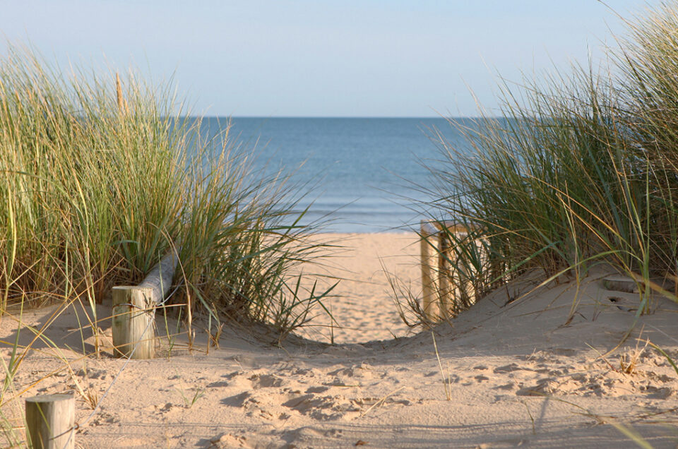 Horry County Beaches – South Carolina