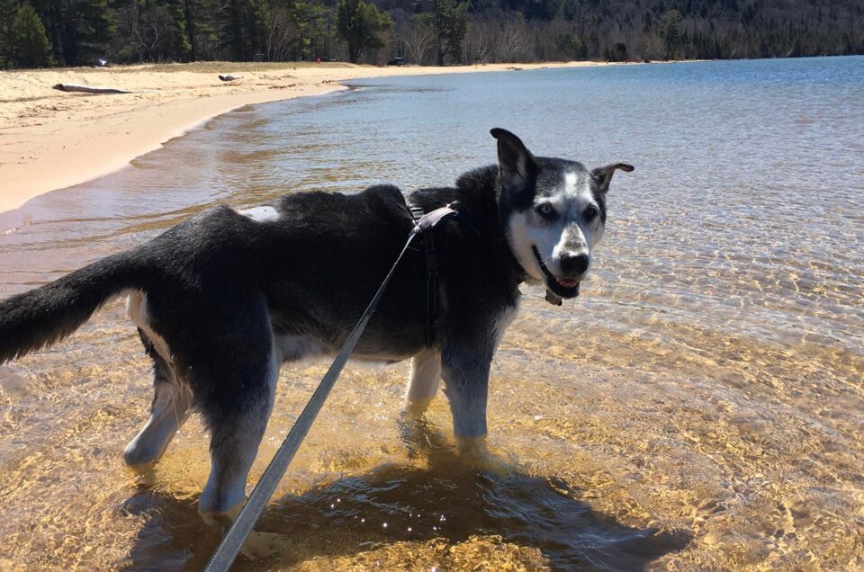 Pictured Rocks National Lakeshore Beaches