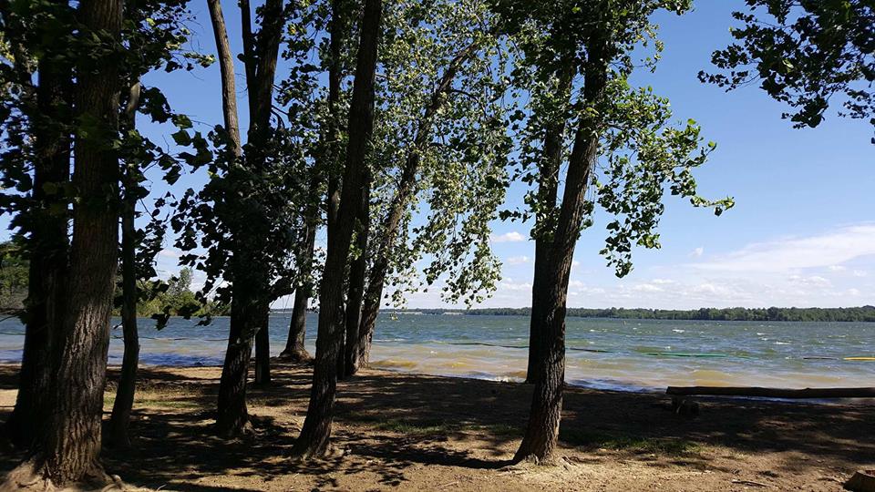 Alum Creek State Park Dog Swim Area Pet Friendly Travel