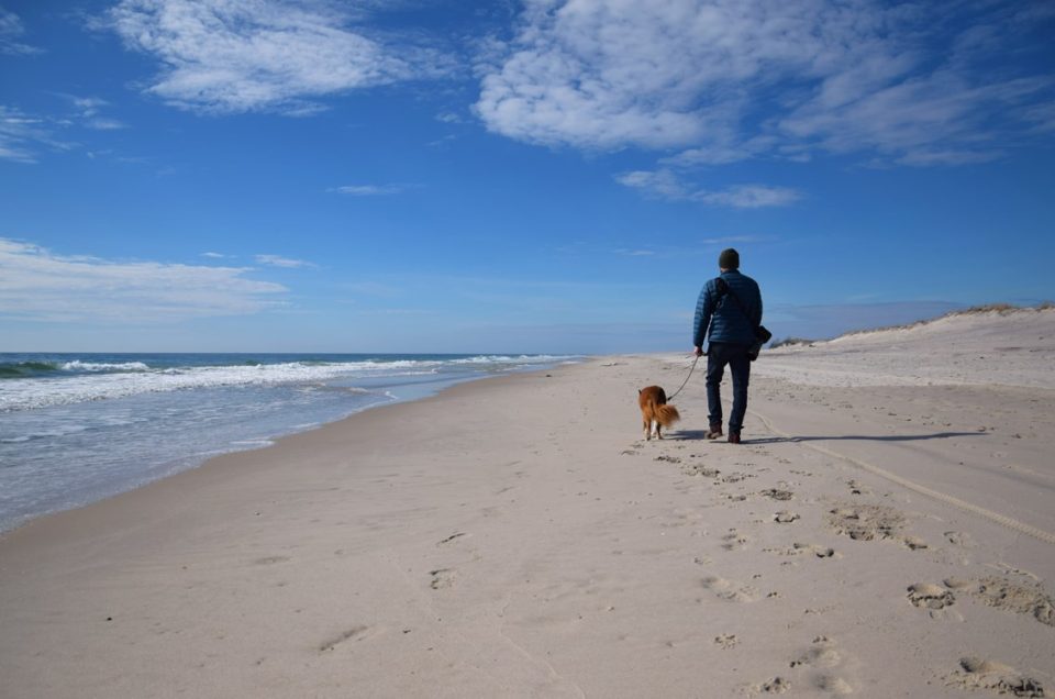Fire Island National Seashore Beaches