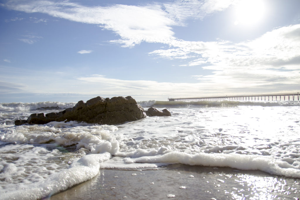 Haskell's Beach Goleta, CA Pet Friendly Travel