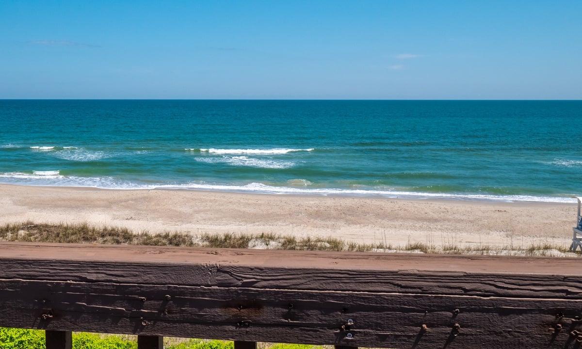 Carolina Beach Town Beaches North Carolina Pet Friendly Travel