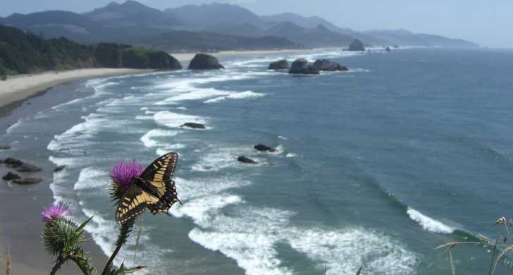 Ecola State Park Beach – Cannon Beach, OR