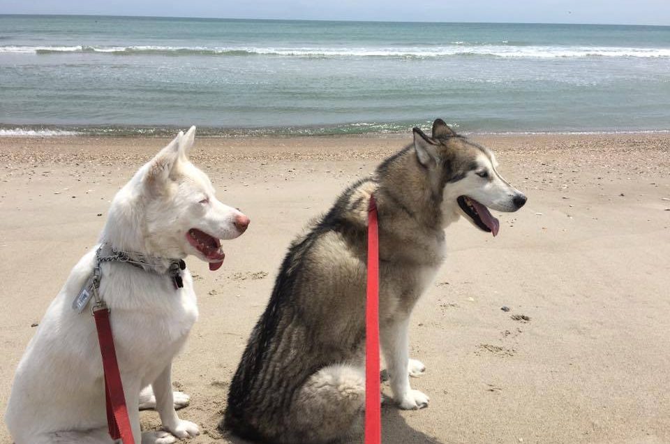 Emerald Isle Beaches – Emerald Isle, NC