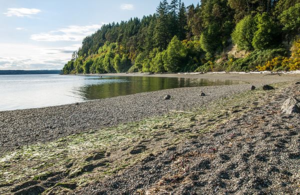 Joemma Beach State Park – Lakebay, WA