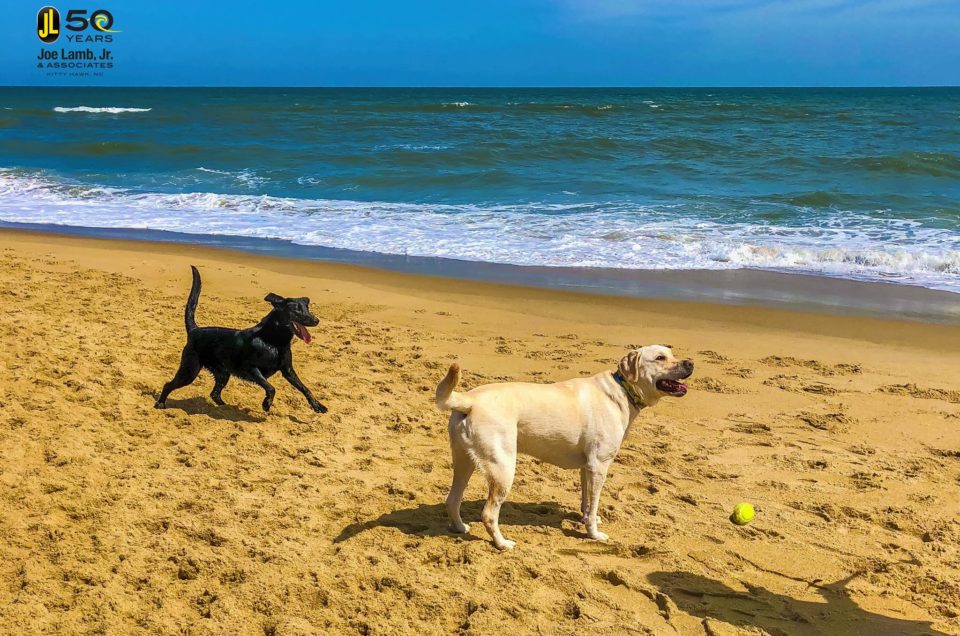 Kitty Hawk Beaches – Outer Banks, NC