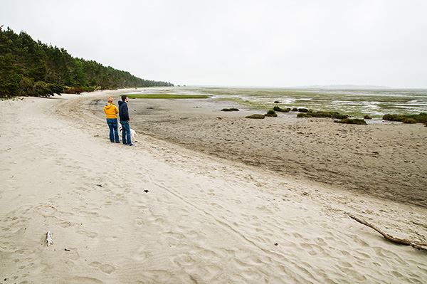 Leadbetter Point State Park Beach – Ocean Park WA