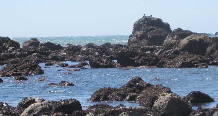 McVay Rock State Recreation Site Beach