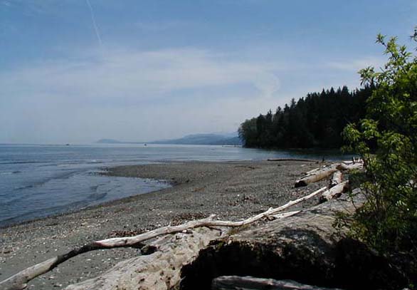 Pillar Point County Park Beach – Clallam Bay, WA