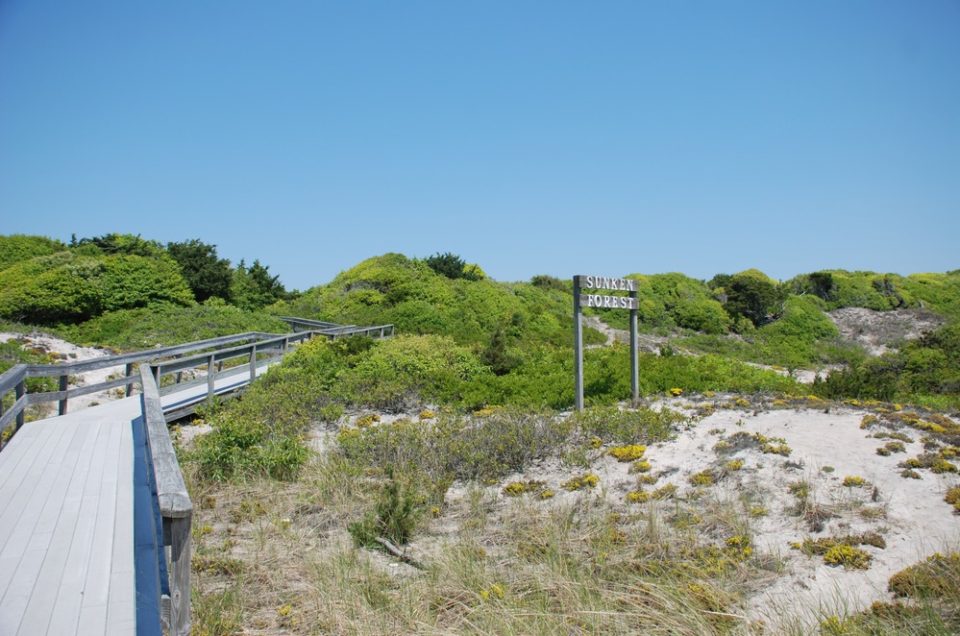 Sailors Haven Beach – Fire Island, NY