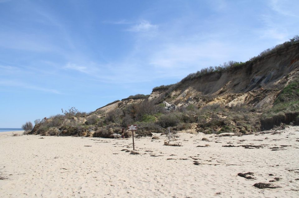 Truro Town Beaches Truro, MA Pet Friendly Travel