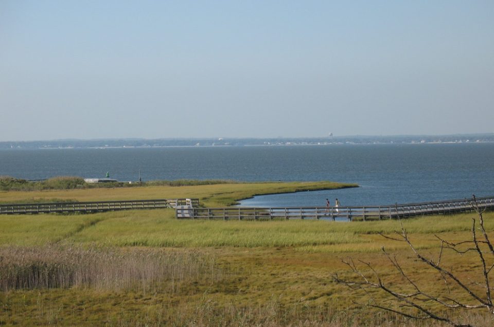 Watch Hill Beach – Fire Island, NY