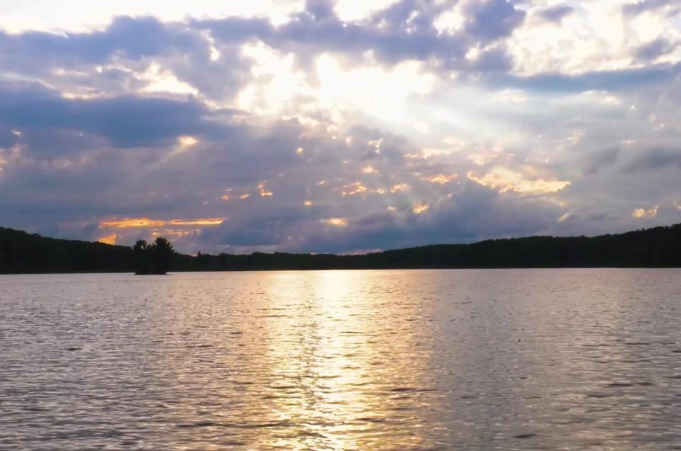 Wisconsin State Parks – Dog Swim Areas