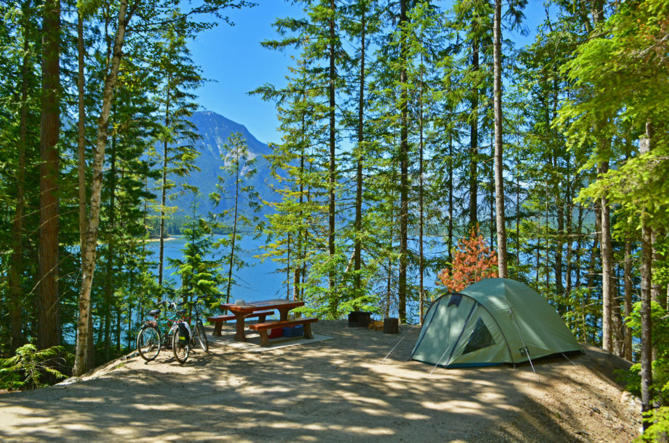 Nakusp McDonald Creek Provincial Park Campground Pet Friendly Travel